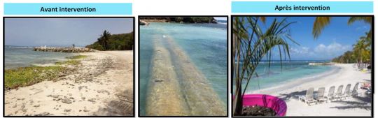 Effets de l'installation du Stabiplage en Guadeloupe