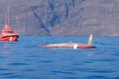 Le Tyger of London aprs son chavirage aux Canaries