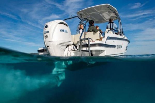 Moteur De Bateau – Marque PERSONNEL – Neuf