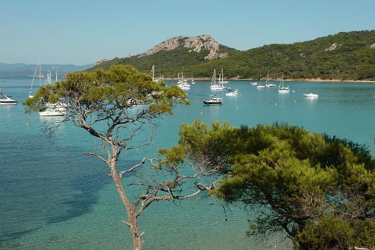 R�serve naturelle de Port-Cros dans le Var